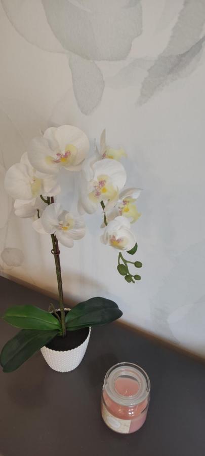 Be My Guest - Krucza Elegant Apartment - Rondo De Gaulle'A Center Of Warsaw Metro Wi-Fi Breakfast מראה חיצוני תמונה